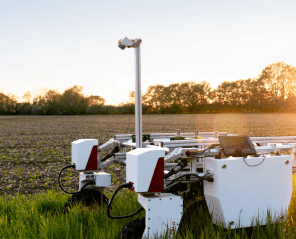 Automated Strawberry Picking